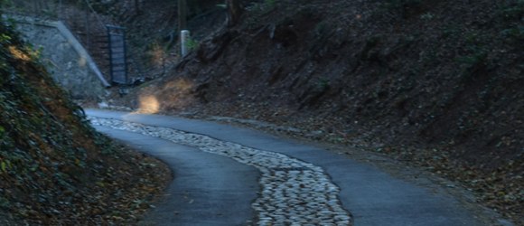 Der alte Hohlweg, © Sabine M. Gruber